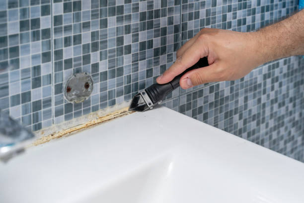 Best Black Mold Remediation in Swansea, IL